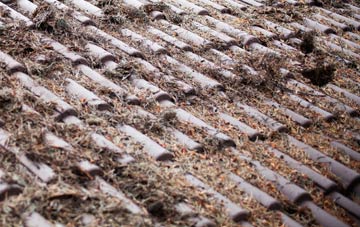 Hyltons Crossways roof cleaning companies